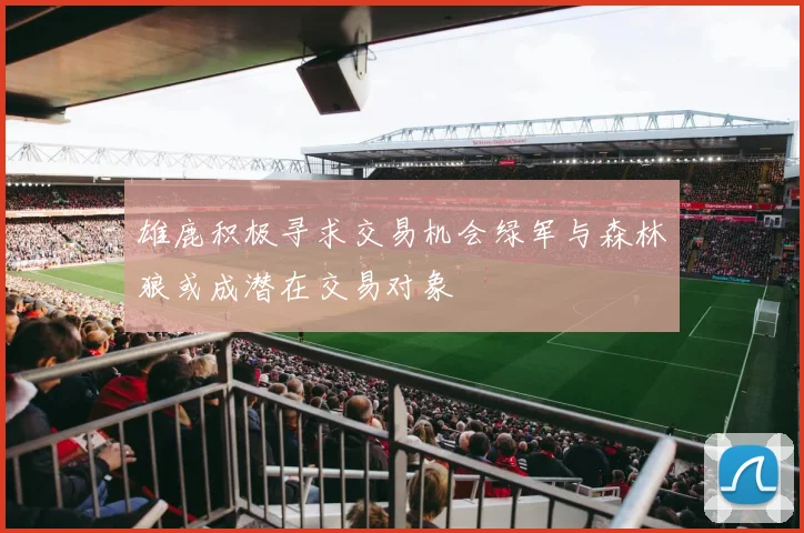 雄鹿积极寻求交易机会绿军与森林狼或成潜在交易对象